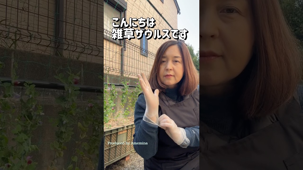 雑草を抜きました #草むしり #庭仕事 #ガーデニング