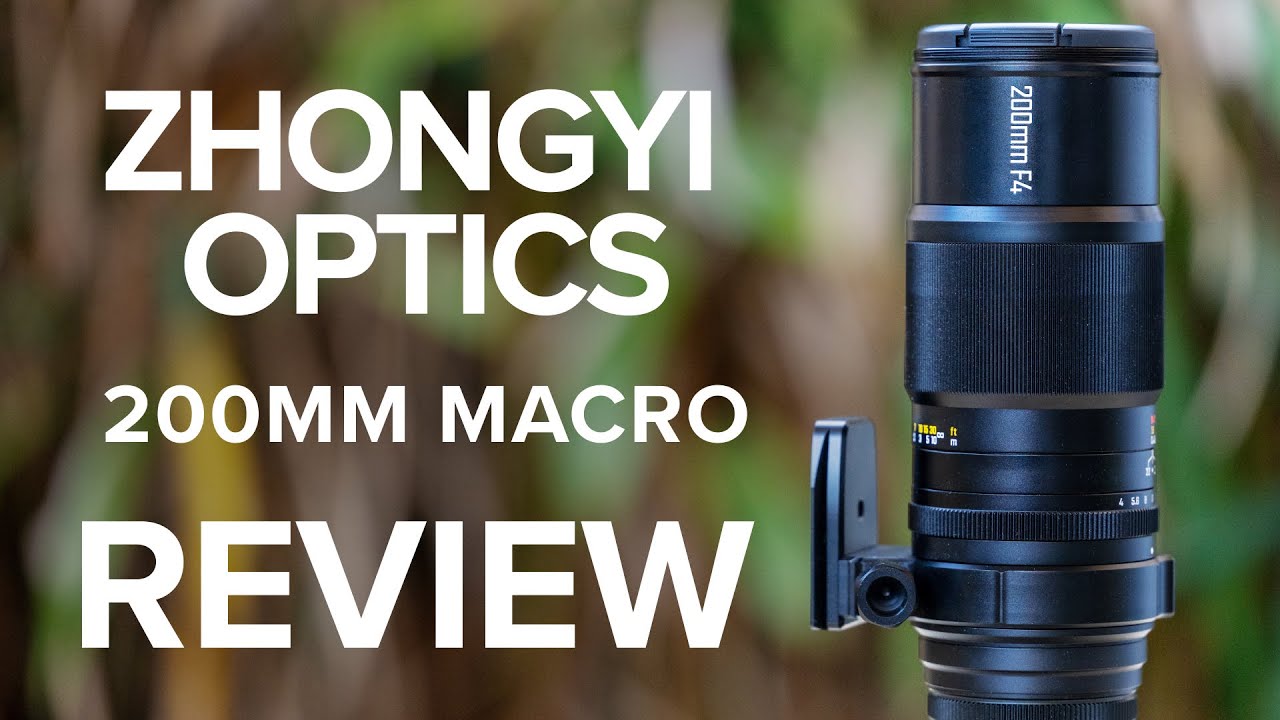 Video thumbnail for Video Review 2