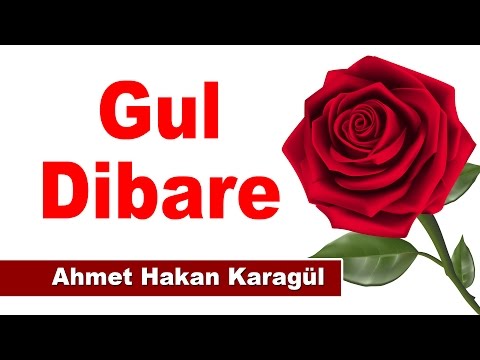 Gul Dibare - Ahmet Hakan Karagül