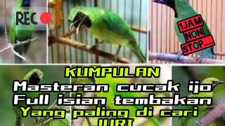 Download lagu kumpulan Masteran CUCAK IJO full tembakan jeda rapet || paling di cari JURI mp3