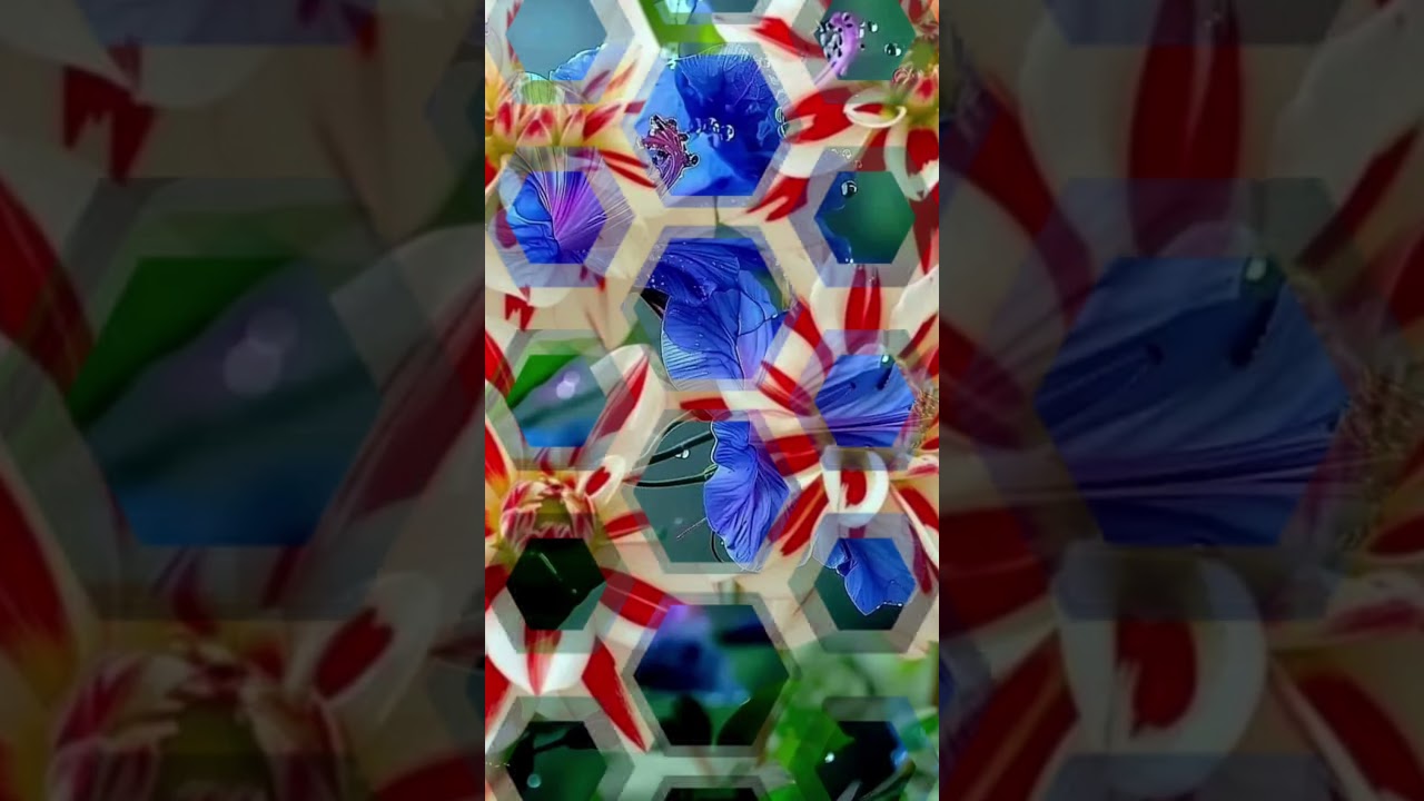 Beautiful Flower Wallpaper