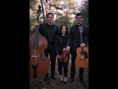 D&rsquo;Amico Entertainment video.