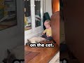 Kid Bites Cat In Revenge