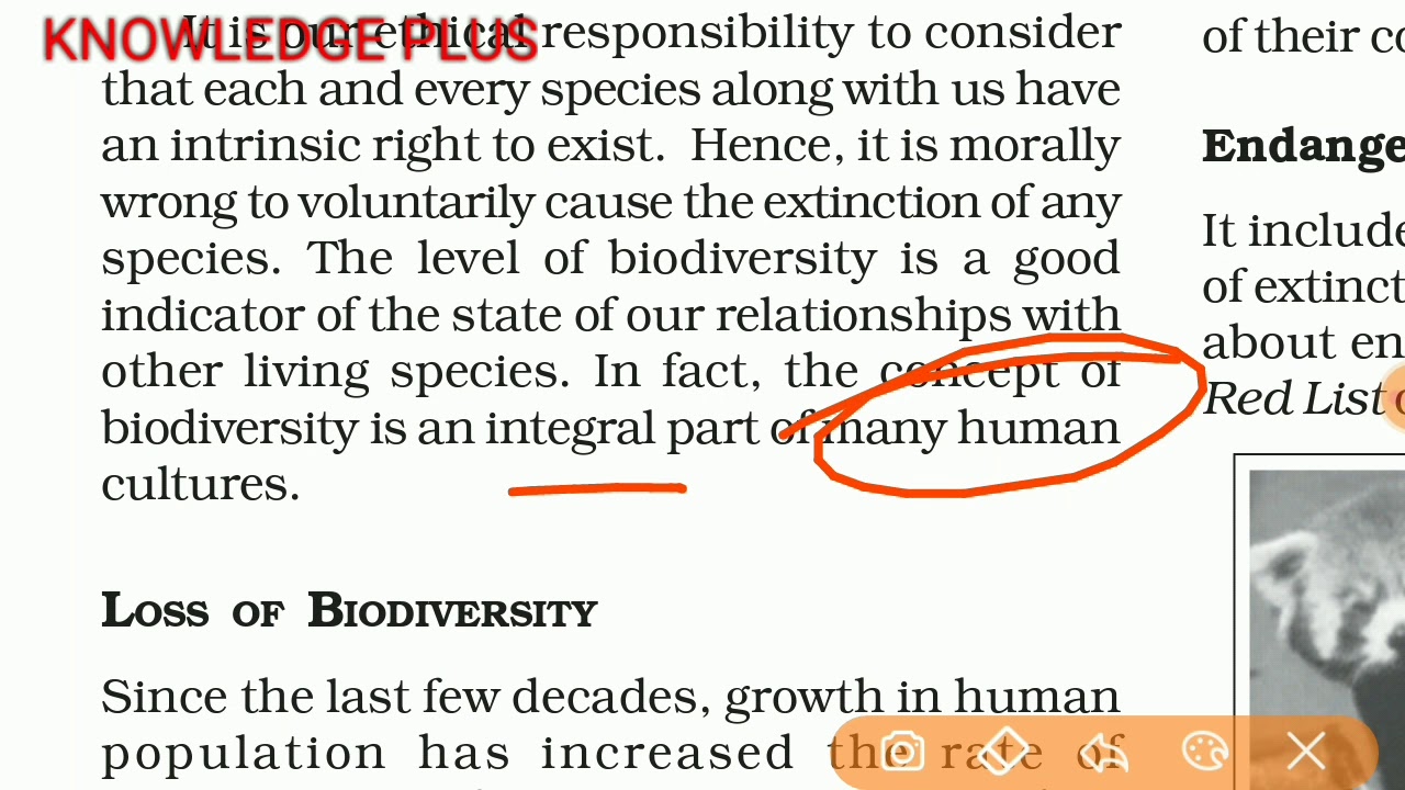 Ncert class 11 chapter 16 biodiversity and conservation fundamental of physical geography in hindi