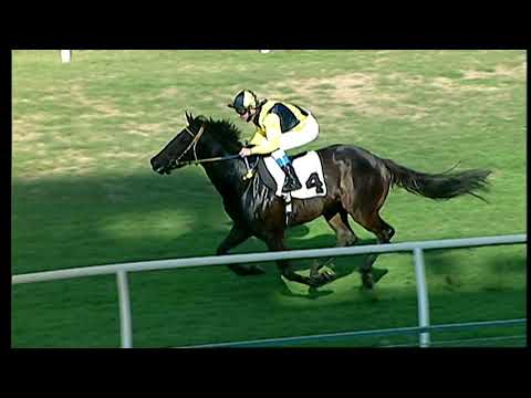 Galoppo 21/12/2020 - 1ª corsa