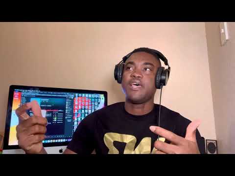 Are Librarian Artists getting enough support from their fans? (Beatwind Podcast Episode 1)