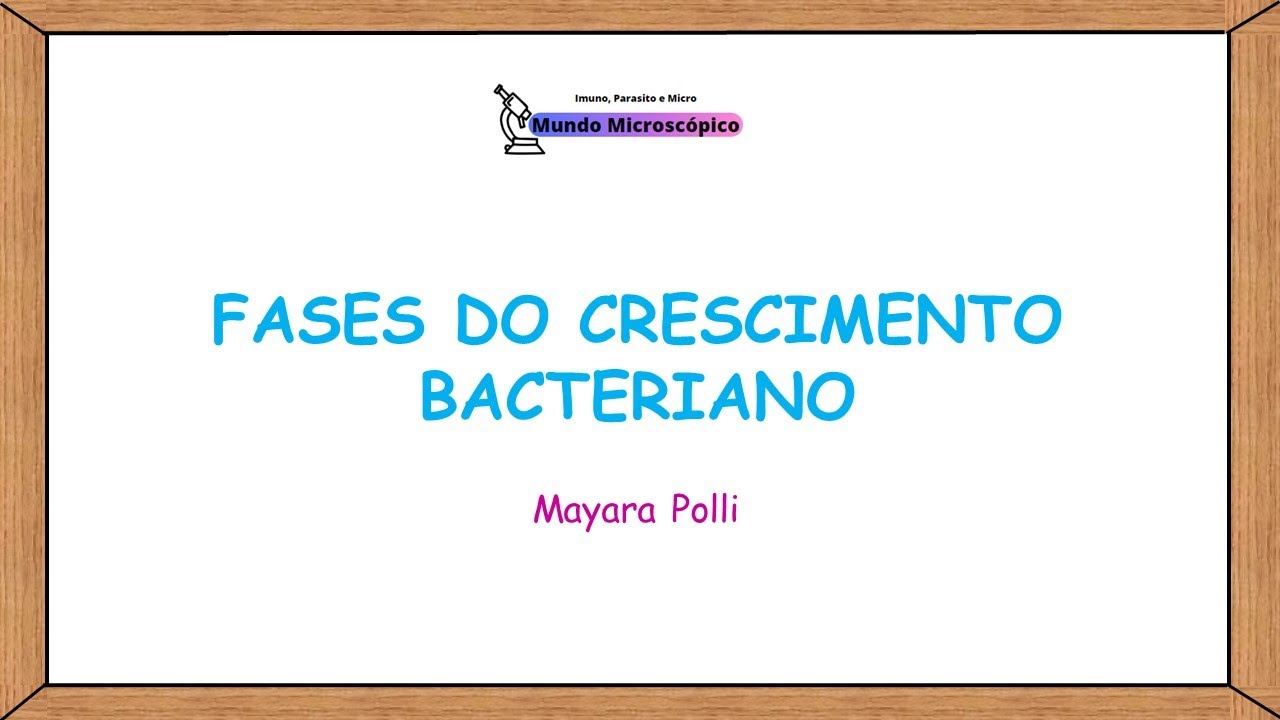 Fases do Crescimento Bacteriano