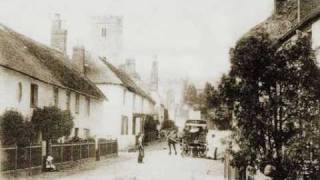 preview picture of video 'Great Trees of East Devon - The East Budleigh Mark Tree - Ancient tree'