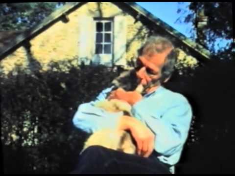 Le chat Tinou avec Gébé (1991) de Gérard Courant - Cinématou #6