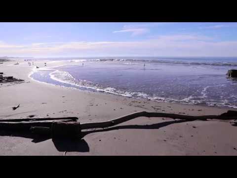 Quiet Films: Beach Scene