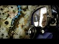 Rock Climbing For Snakes Deadly 60 Series 2 BBC Earth