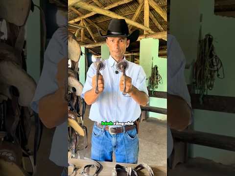 Sự thật về bánh răng trên ủng cao bồi 😳