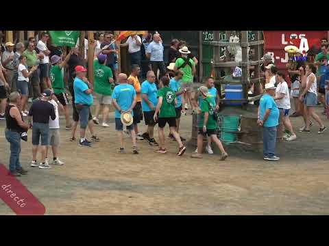 Festejos taurinos en directo en Garrovillas de Alconetar