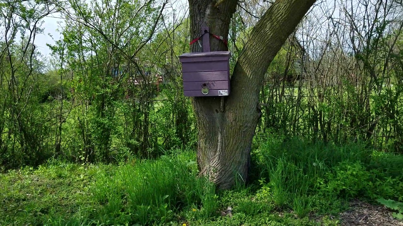 Video Tour Update of The Edge of Liberty - May 17, 2020