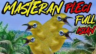 Download lagu masteran pleci NEMBAK wit wit cerrr KENARI terbaru mp3 Download lagu masteran pleci NEMBAK wit wit cerrr KENARI terbaru mp3