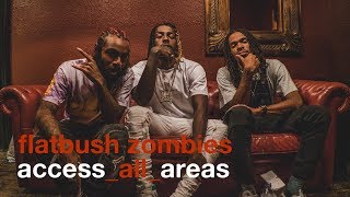 Flatbush Zombies - Access All Areas