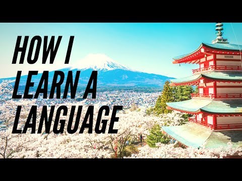 How to Approach a New Language
