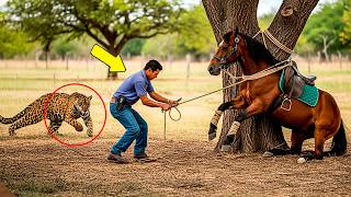 O Dia que Caseiro Foi Atacado Pela Onça no Mato Grosso ao Tentar Salvar um Cavalo