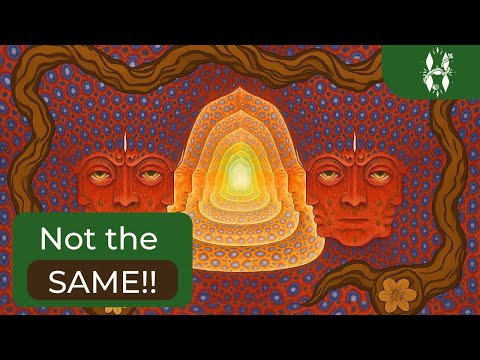Ayahuasca vs  DMT, major difference explained! be WARNED!