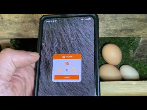 Chicken Egg Counter & Tracker video thumbnail