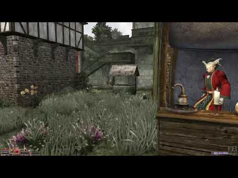 42 TES III Modded Morrowind Rebirth / Combat Enhanced / Ashfall