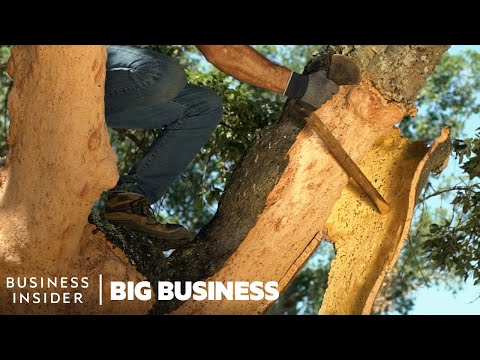 How 40 Million Cork Wine Stoppers Are Harvested A Day | Big Business