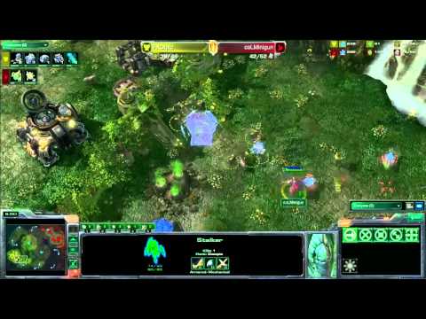 Minigun vs. qxc - Game 2 - Red Bull LAN