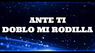 A TUS PIES / MARCO BARRIENTOS / LETRA