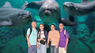 #655|| WHAT IS IN THE LARGEST GEORGIA AQUARIUM IN THE US? _ First time seeing dolphins perform.