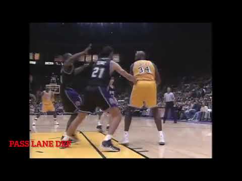 Tariq Abdul-Wahad skillset