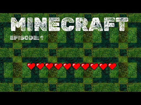 Welcome to my first Minecraft world