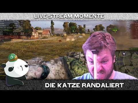 Best of gRuMM3l 3 || Die Katze randaliert