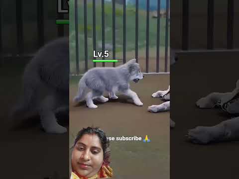 maa 👍👍👍👍👍👍👍👍🙃🙃ke liye like ❤and, subscribe my channel ...............