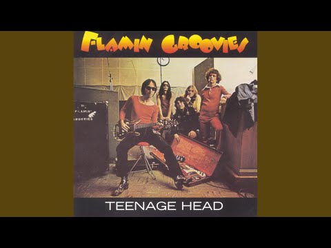 Yesterdays Numbers - Flamin Groovies