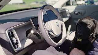 Leapmotor B10 - Stor familie el SUV til familien med brug for plads og jydekrog