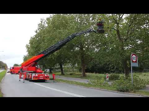 20.10.2023 / Eftersyn / Lyngby