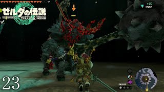 【ゼルダの伝説totkその23】ライネルばかり出てくる天国みたいな闘技場があった