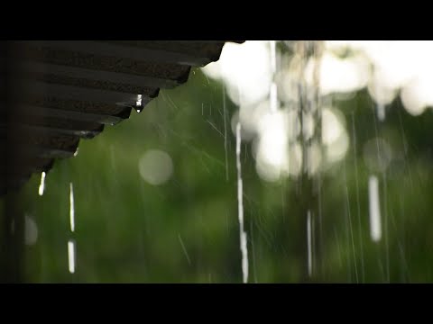 Duerma Instantáneamente en 11 Minutos con Sonido de Lluvia en Techo de Zinc - Lluvia y Truenos