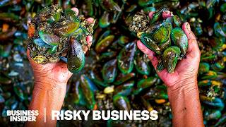 How Toxic Green Mussels Feed Millions In Indonesia's Biggest City