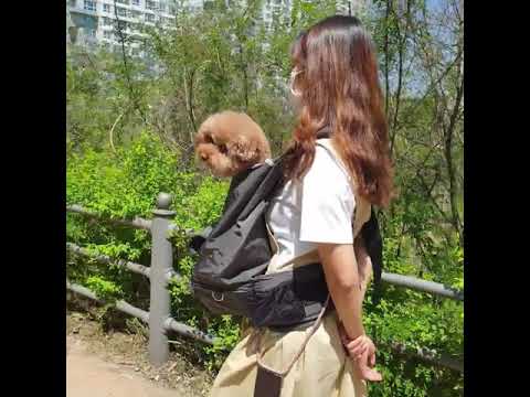 Inside Dog & Cat Pet Carrying Bag - Intensive Care Bag