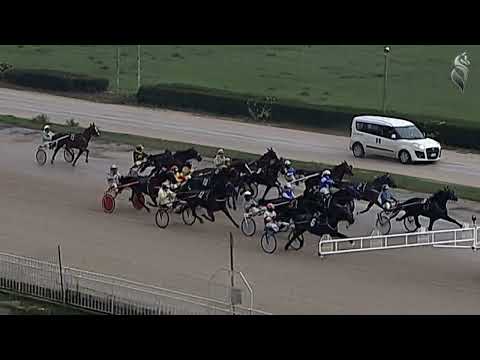 Aversa trotto 16 Novembre 2022 - 6° Corsa