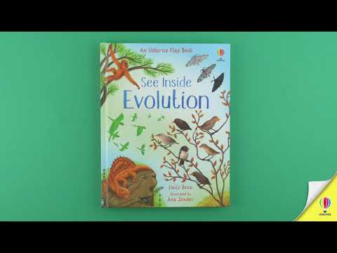 Відео огляд See Inside Evolution Flap Book [Usborne]