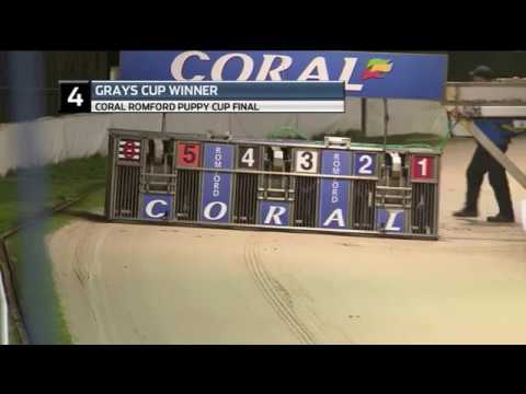 2018 ROMFORD PUPPY CUP FINAL - T4 GRAYS CUP WINNER