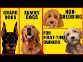 How To Choose The Perfect Dog Breed