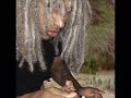 On My Dead Girlfriend X The Return Of Chip Douglas YenXKidCudi
