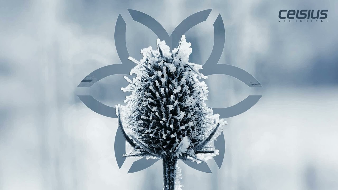 Maykors - Frozen Life