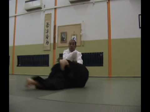 Aikido - Shimamoto Katsuyuki Shihan 8th Dan Aikikai