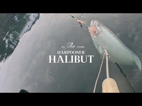 The Harpooner Halibut