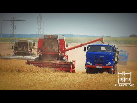 Fortschritt E 516 / 514 SX / IFA L60 / IFA W 50 "Auftrag im Hafer"