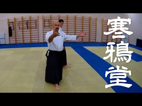 Aikido Practice Daily | Shomen Uchi Tekubi Osae (yonkyo)